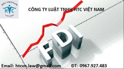 Đầu tư thành lập tổ chức kinh tế của nhà đầu tư nước ngoài tại Việt Nam 